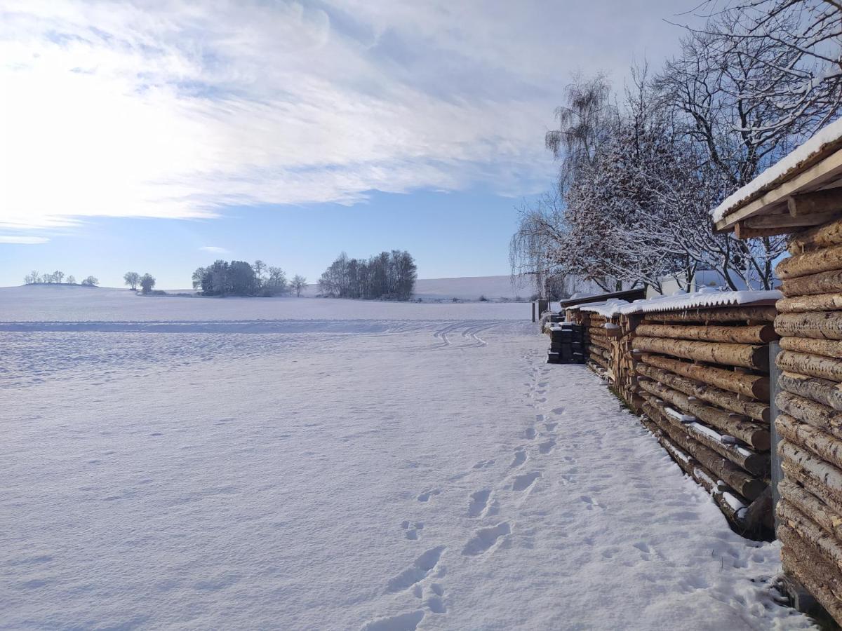 Podkrovni Apartman Pololan U Rybnika Nová Ves Exterior foto